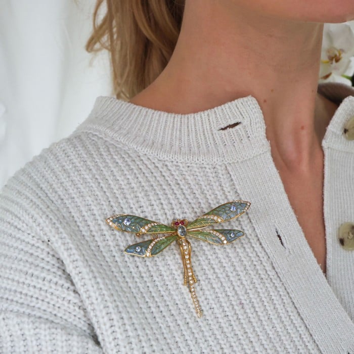Modern Plique à Jour Enamel, Sapphire, Diamond, Ruby and Gold Dragonfly Brooch